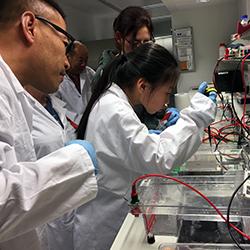 An outreach event where members of the public got first-hand experience of loading samples and running a DNA gel electrophoresis.
