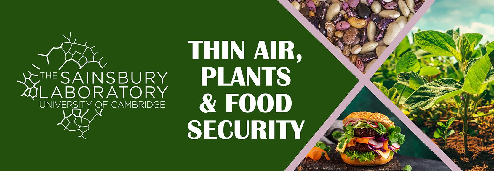 Thin air, plants and food security banner with images of beans, impossible burger and soy crop